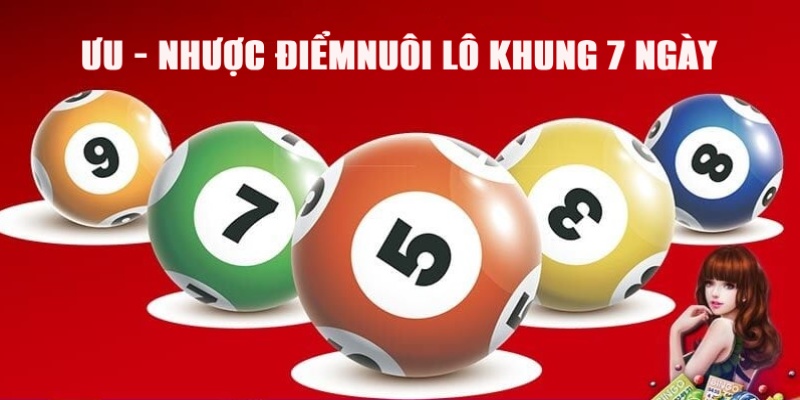 Ưu điểm và hạn chế trong việc nuôi lô khung 7 ngày
